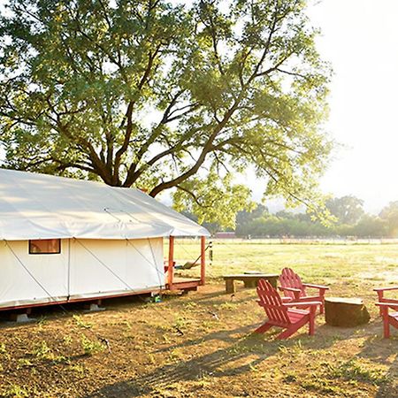 فيلا Soul Whispering Ranch Retreat Upper Lake المظهر الخارجي الصورة