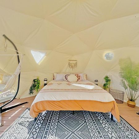 فيلا Soul Whispering Ranch Retreat Upper Lake المظهر الخارجي الصورة